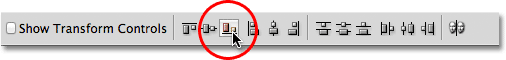 The Align Bottom Edges option in the Options Bar in Photoshop. Image © 2011 Photoshop Essentials.com