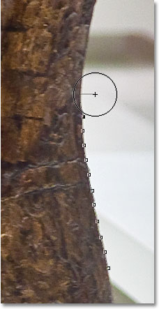 Dragging the Magnetic Lasso Tool around the edge of the sculpture. Image © 2009 Photoshop Essentials.com