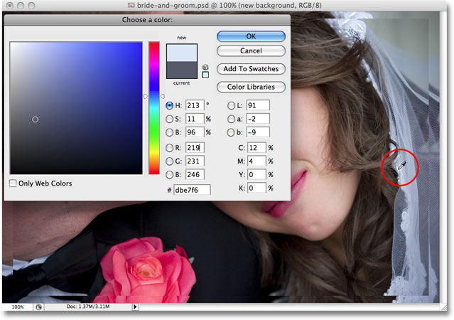 Sampling a color from the image to use as the background color for the frame effect. Image copyright © 2008 Photoshop Essentials.com