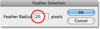 Increasing the feather radius to 20 pixels. Image copyright © 2008 Photoshop Essentials.com