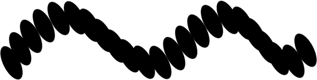 A brush stroke using the Initial Direction option for the angle control. Image © 2010 Photoshop Essentials.com