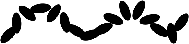 A brush stroke in Photoshop rotated dynamically by pen pressure. Image © 2010 Photoshop Essentials.com