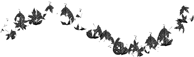 A brush stroke with the Dual Brush blend mode set to Hard Mix. Image © 2010 Photoshop Essentials.com