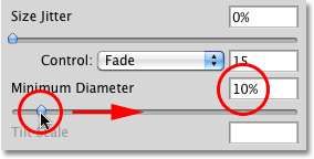 Increasing the Minimum Diameter of the brush to 10%. Image © 2010 Photoshop Essentials.com