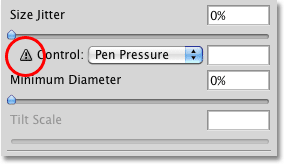 A warning box inside the Shape Dynamics controls in the Brushes panel in Photoshop. Image © 2010 Photoshop Essentials.com