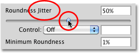 The Roundness Jitter option in the Shape Dynamics section in Photoshop. Image © 2010 Photoshop Essentials.com