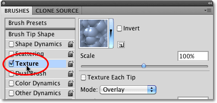 The Texture options in the Brushes panel in Photoshop. Image © 2010 Photoshop Essentials.com