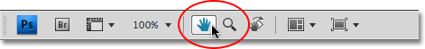 The Hand and Zoom Tools in the new Application Bar in Photoshop CS4. Image © 2009 Photoshop Essentials.com.