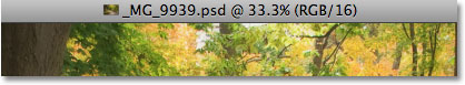 The information along the top of the document window in Photoshop CS4. Image © 2009 Photoshop Essentials.com.
