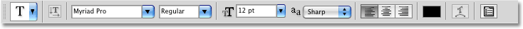 The Options Bar displaying options for the Type Tool. Image © 2009 Photoshop Essentials.com.