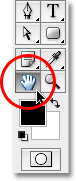 The Hand Tool in Photoshop. Image © 2009 Photoshop Essentials.com.