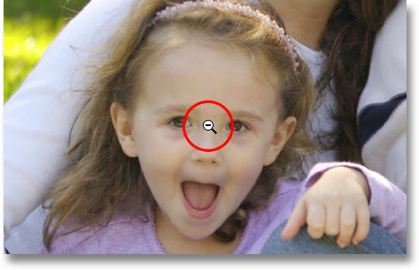 The Zoom Tool in 'zoom out' mode. Image © 2009 Photoshop Essentials.com.