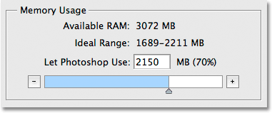 The 'Memory Usage' section in the Performance Preferences.
