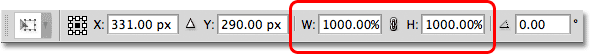 Scaling the vector shape to 1000% of its initial size. Image © 2011 Photoshop Essentials.com