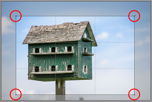 The crop box is now set to a 4x6 aspect ratio. Image © 2013 Steve Patterson, Photoshop Essentials.com