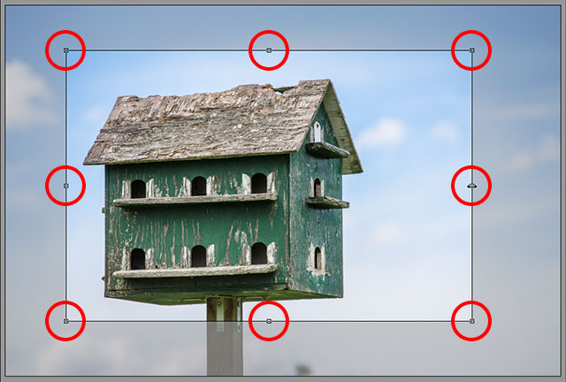 Click and drag any of the handles to resize the crop box. Image © 2013 Steve Patterson, Photoshop Essentials.com