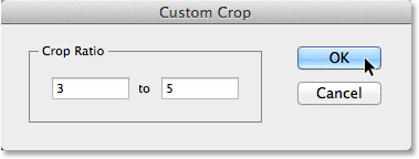 Entering a custom aspect ratio for the Crop Tool in Camera Raw. Image © 2013 Steve Patterson, Photoshop Essentials.com