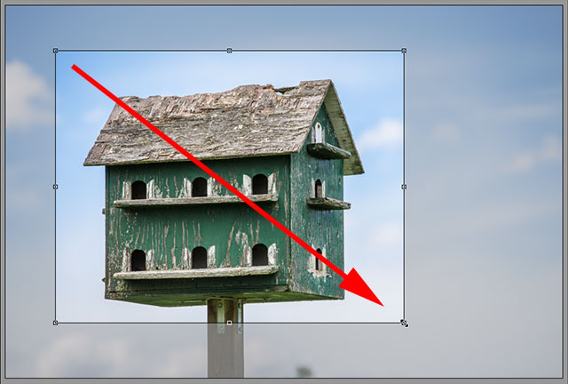 Dragging out an initial cropping border in Adobe Camera Raw. Image © 2013 Steve Patterson, Photoshop Essentials.com