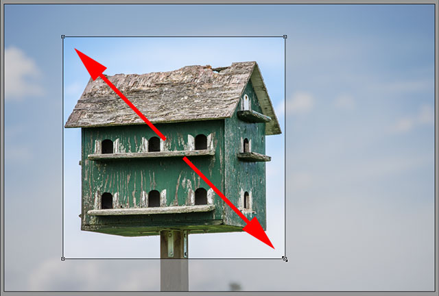 Drawing a crop box as a perfect square. Image © 2013 Steve Patterson, Photoshop Essentials.com