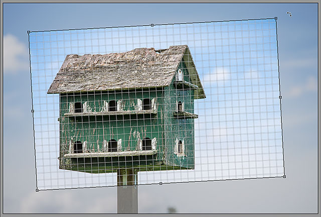 Rotating the crop box in Camera Raw. Image © 2013 Steve Patterson, Photoshop Essentials.com