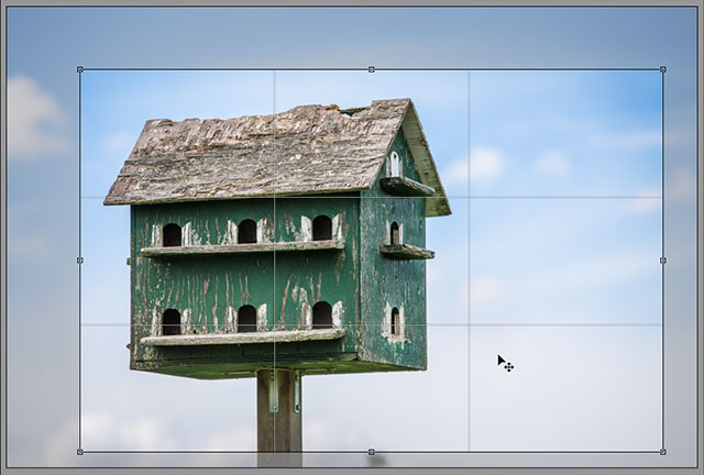 The 3x3 grid overlay for the Crop Tool in Camera Raw. Image © 2013 Steve Patterson, Photoshop Essentials.com