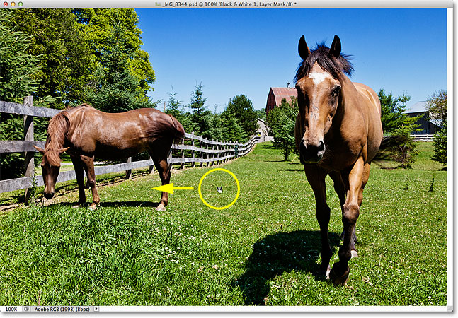Clicking and dragging to darken the grass and trees in the photo. Image © 2012 Photoshop Essentials.com