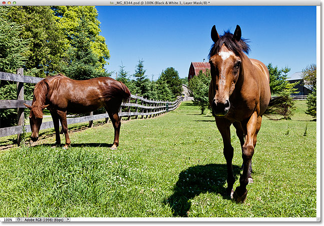 The grass and trees now appear lighter after dragging the Blues slider. Image © 2012 Photoshop Essentials.com