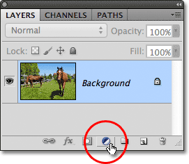 Photoshop New Adjustment Layer icon. Image © 2012 Photoshop Essentials.com