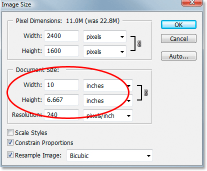 Adobe Photoshop tutorial image.