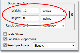 Adobe Photoshop tutorial image.