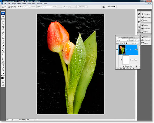The image with Gaussian Blur set to Soft Light