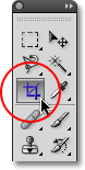Selecting the Crop Tool in Photoshop. Image © 2009 Photoshop Essentials.com