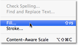 Selecting the Fill command in Photoshop. Image © 2010 Photoshop Essentials.com