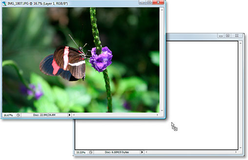 Drag the photo into the new document