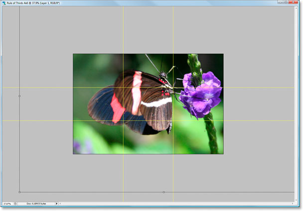 Moving the butterfly into position.