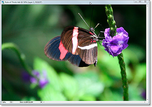 The final 'Rule of Thirds' result