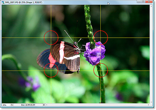 The original photo showing the rule of thirds grid lines and intersection points