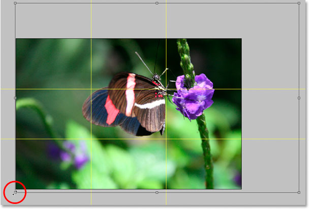Reducing the size of my original photo to fit it into the new 4x6 image