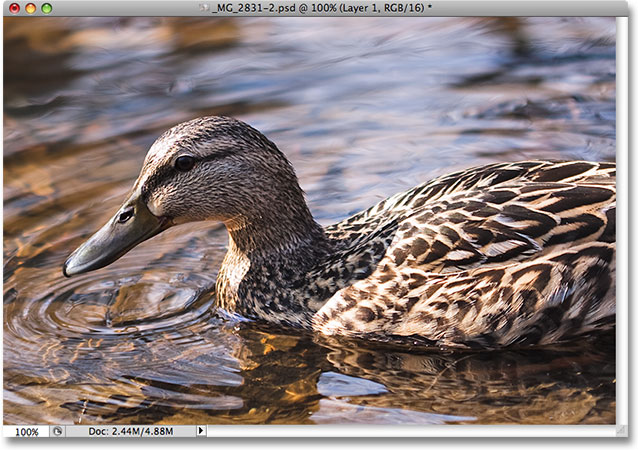 The image after increasing the Amount value to 40% for the shadows. Image © 2009 Photoshop Essentials.com
