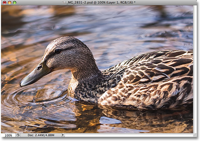 The photo after applying the Shadow/Highlight adjustment in Photoshop. Image © 2009 Steve Patterson.