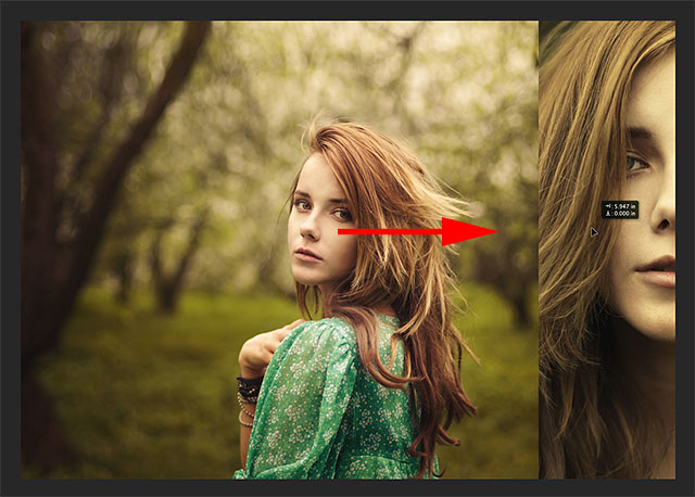 Selecting the Move Tool from the Tools panel. Image © 2014 Photoshop Essentials.com