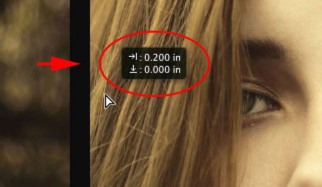 Both images are visible once again in the document. Image © 2014 Photoshop Essentials.com