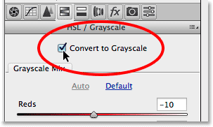 Selecting the Convert to Grayscale option. Image © 2014 Photoshop Essentials.com