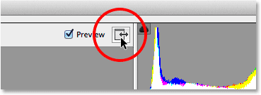 The Full Screen Mode icon in the Camera Raw Filter dialog box. Image © 2014 Photoshop Essentials.com