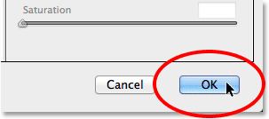 Clicking the OK button to close out of the Camera Raw Filter. Image © 2014 Photoshop Essentials.com