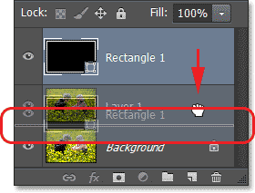Dragging the Shape layer below Layer 1. Image © 2013 Photoshop Essentials.com