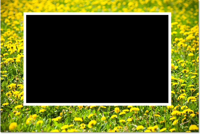 The image after resizing the stroke around the shape. Image © 2013 Photoshop Essentials.com