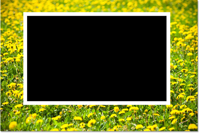 The image after drawing the rectangle shape. Image © 2013 Photoshop Essentials.com