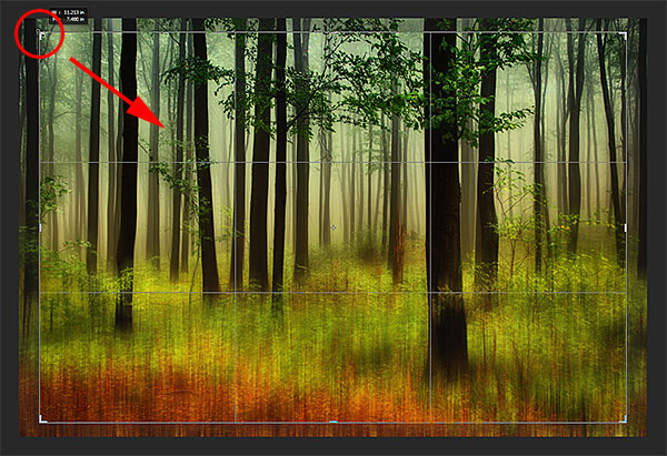 Resizing the cropping border. Image © 2013 Photoshop Essentials.com