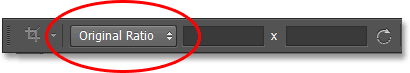 Setting the Crop Tool's aspect ratio to Original Ratio. Image © 2013 Photoshop Essentials.com